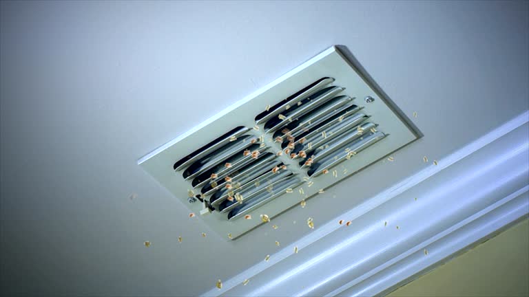 Best Affordable Air Duct Cleaning  in Parole, MD