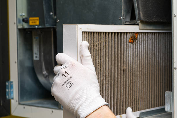 Best Dryer Vent Cleaning Services  in Parole, MD