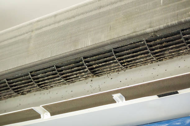 Best Air Vent Cleaning Services  in Parole, MD